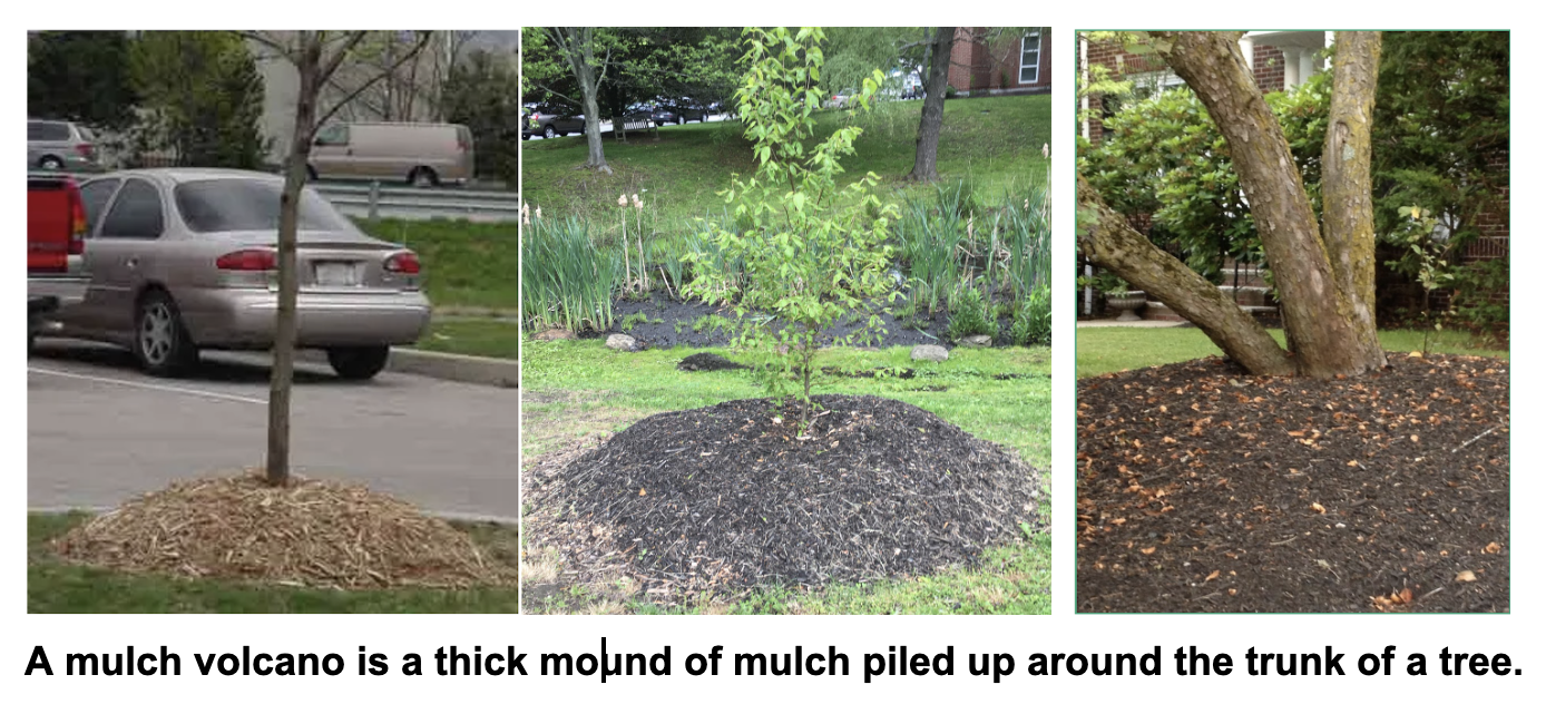 mulch volcano
